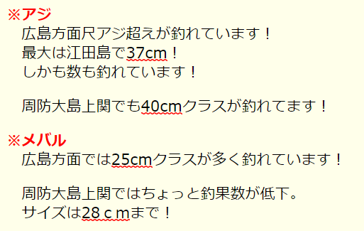 広島倉橋 アジ25cmが狙える釣場ポイントと釣果サイズも紹介 広島の話題速報